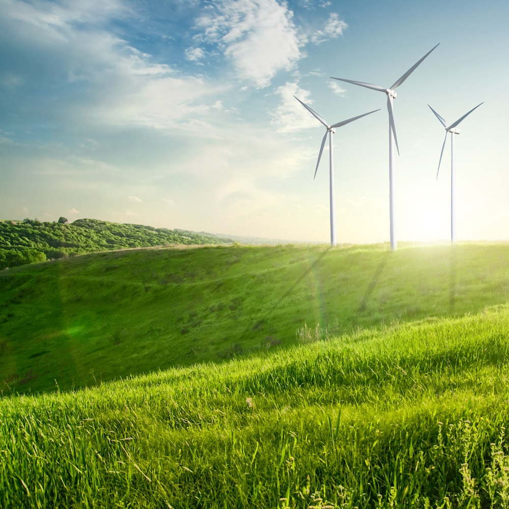 Wind generators turbines on sunset summer landscape