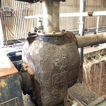 gr-waste-abattoir-herd-pumps-like-swarznegger-lr--450x450 gr-waste-abattoir-herd-pumps-like-swarznegger-lr--450x450